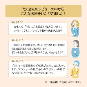 下着 収納 仕切り ウォールポケット ハンガー...の詳細画像2