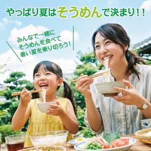 爆買 流しそうめん スライダー そうめん流し器...の詳細画像5