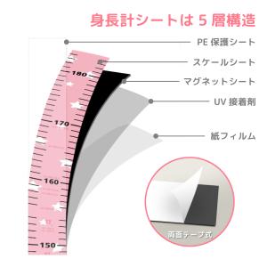 身長計 マグネット 身長測定器 子供 キッズ ...の詳細画像4