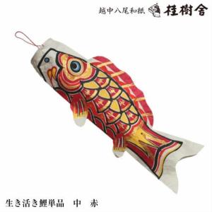 桂樹舎　鯉のぼり単品(中)　071　日本の心がこもる越中八尾の和紙