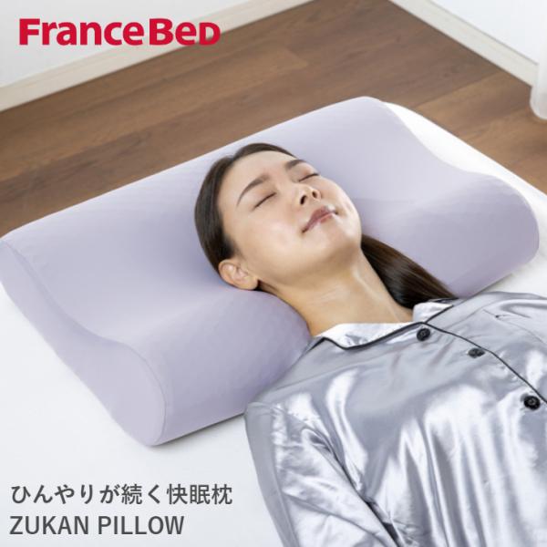 フランスベッド 快眠枕 ズカンピロー ZUKAN PILLOW 枕 France Bed