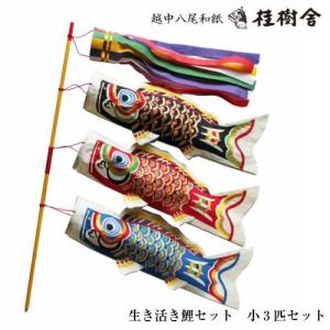 桂樹舎 室内用 鯉のぼりセット 小3匹セット 069 日本の心がこもる越中八尾の和紙