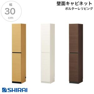 DAIKEN 大建工業 壁厚収納 カベピタ スリッパ収納 370L FQ1009-14