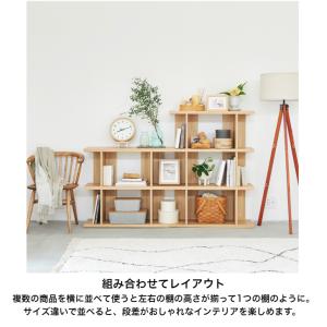 白井産業 セルオリア オープンラック SO1-...の詳細画像5