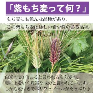 もち麦 送料無 国産 無農薬 500g 栄養価...の詳細画像5