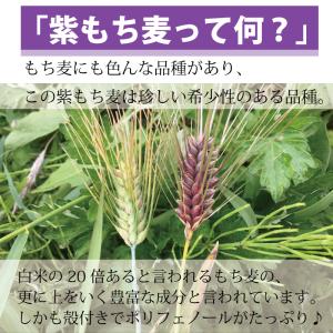雑穀 送料無 国産 5kg 残留農薬検査済 栄...の詳細画像4