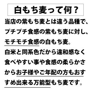雑穀米 送料無 もち麦 パック 国産 モチモチ...の詳細画像2