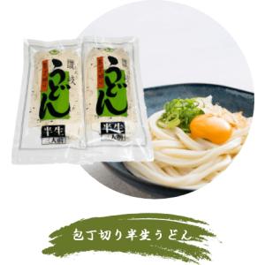 【合田照一商店　公式】包丁切り半生うどん300g×5袋詰
