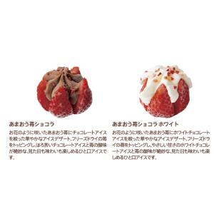 お中元 2026 ゴディバ公式(GODIVA)...の詳細画像4