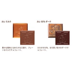 ゴディバ公式(GODIVA)ハロウィン チョコ...の詳細画像3