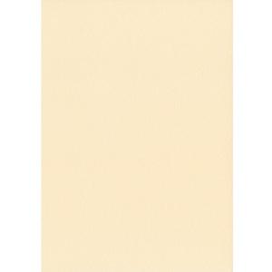 エスケント 色画用紙 スターウェーブ 八切 アイボリー 100枚 5008800