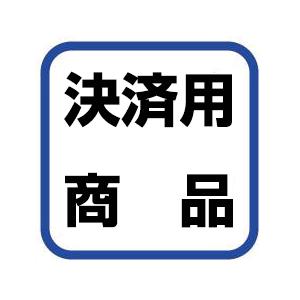 ポイント決済＆および送料加算用商品