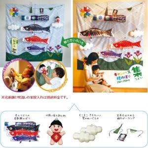 鯉のぼり 岡本太郎鯉のぼり 岡本太郎ミュージアム限定品 大型鯉庭園用