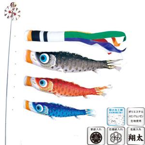 鯉のぼり 岡本太郎鯉のぼり 岡本太郎ミュージアム限定品 大型鯉庭園用