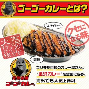 ゴーゴーカレー カレー皿 ステンレス エコノミ...の詳細画像1