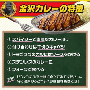 ゴーゴーカレー カレー皿 ステンレス エコノミ...の詳細画像2