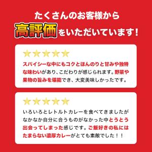 ゴーゴーカレー 中辛 辛口 甘口 レトルトカレ...の詳細画像2