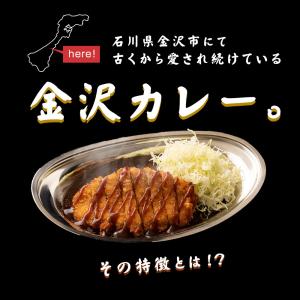 カレー カレールー レトルトカレー 中辛 辛口...の詳細画像2