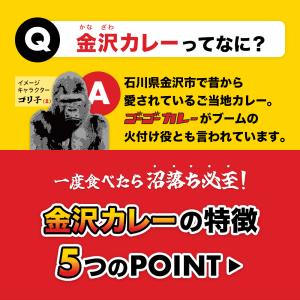ゴーゴーカレー 選べる 10食 セット レトル...の詳細画像3