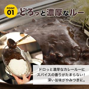 ゴーゴーカレー 選べる 10食 セット レトル...の詳細画像4