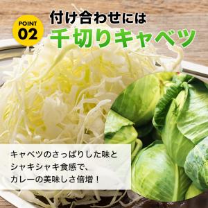 ゴーゴーカレー 選べる 10食 セット レトル...の詳細画像5
