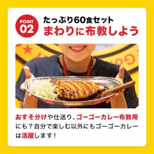 ゴーゴーカレー 選べる 60食 セット レトル...の詳細画像3