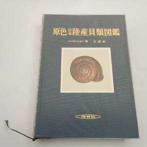 原色日本陸産貝類図鑑 増補改訂版 東正雄 〇の商品画像