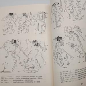 原色日本陸産貝類図鑑 増補改訂版 東正雄 〇の詳細画像3