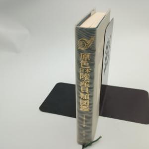 原色日本陸産貝類図鑑 増補改訂版 東正雄 〇の詳細画像4