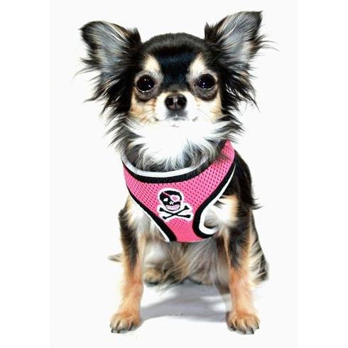 ピンク・スカル・ハーネス DOG STARロゴ