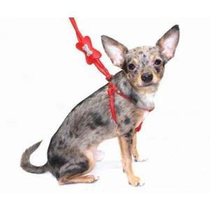 レッド・ボーン・ステップインハーネス