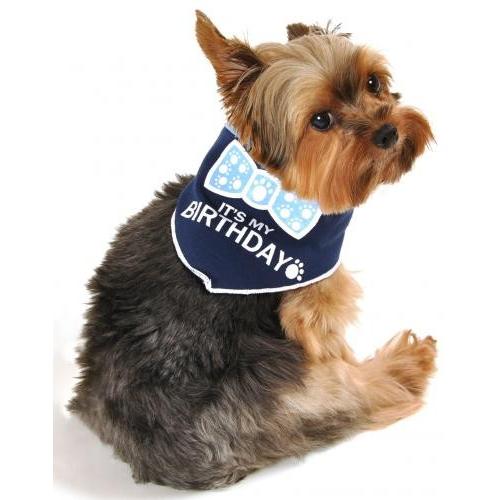 It's My Birthday スカーフ（バンダナ） ブルー