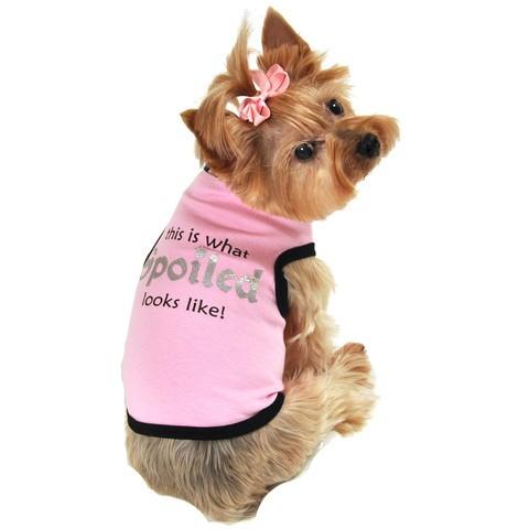 犬服ピンクspoildロゴ・輸入犬服Tシャツ（再入荷バージョン）