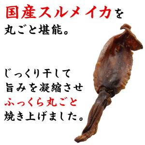 一杯の珍極)丸干し焼いか 【KOBE伍魚福】 ...の詳細画像2