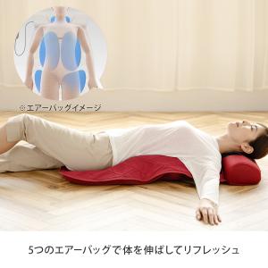 ナガラックスフィッテの詳細画像2
