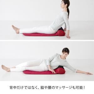 ナガラックスフィッテの詳細画像4