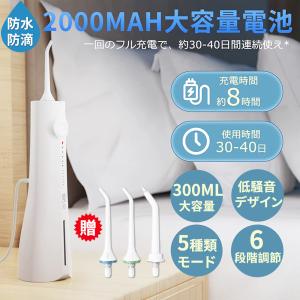 口腔洗浄器 ウォーターピック ジェットウォッシャー