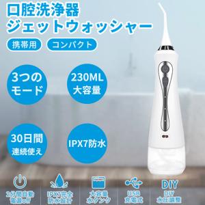 口腔洗浄器 ウォーターピック ジェットウォッシャー