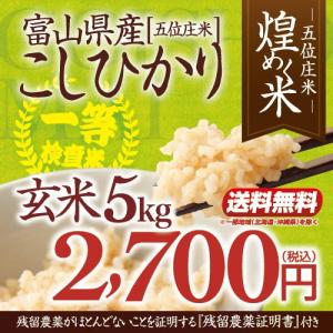 令和3年産 富山県産こしひかり玄米5kgコシヒカリ 2,700円美味しい富山米