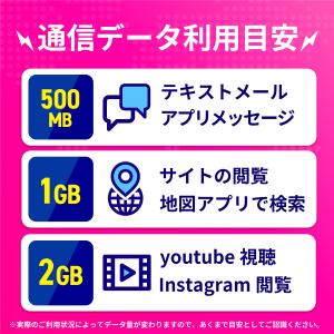 eSIM フィリピン フィリピンeSIM フィ...の詳細画像4