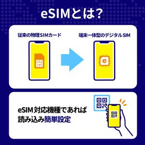 eSIM タイ タイeSIM タイ用eSIM ...の詳細画像3