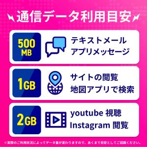 SIMカード グアム グアムSIMカード グア...の詳細画像4