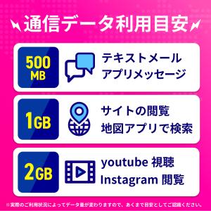 SIMカード マレーシア マレーシアSIM マ...の詳細画像4