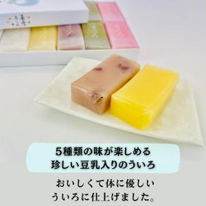 名古屋名物 銘菓 長寿豆乳外郎 10個 ういろ...の詳細画像1