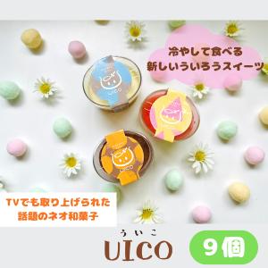 UICO ういこ 9個 名古屋名物 銘菓 外郎 和菓子 洋 プリン