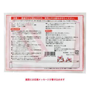 必勝合格カイロ(合格祈願シール入り)レギュラー...の詳細画像2