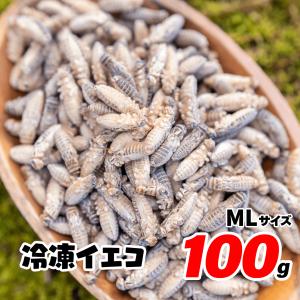 冷凍コオロギ 100g 約330匹 1.5-2cm コオロギ ヨーロッパイエコオロギ レオパの餌 爬虫類・両生類・肉食魚用 GokiBank ゴキバンク