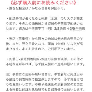 コオロギ 5mm-10mm 100匹 Sサイズ...の詳細画像4