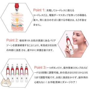 美顔器 ダーマペン 電動ダーマスタンプ 最新充...の詳細画像1