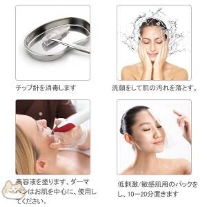 美顔器 ダーマペン 電動ダーマスタンプ 最新充...の詳細画像4